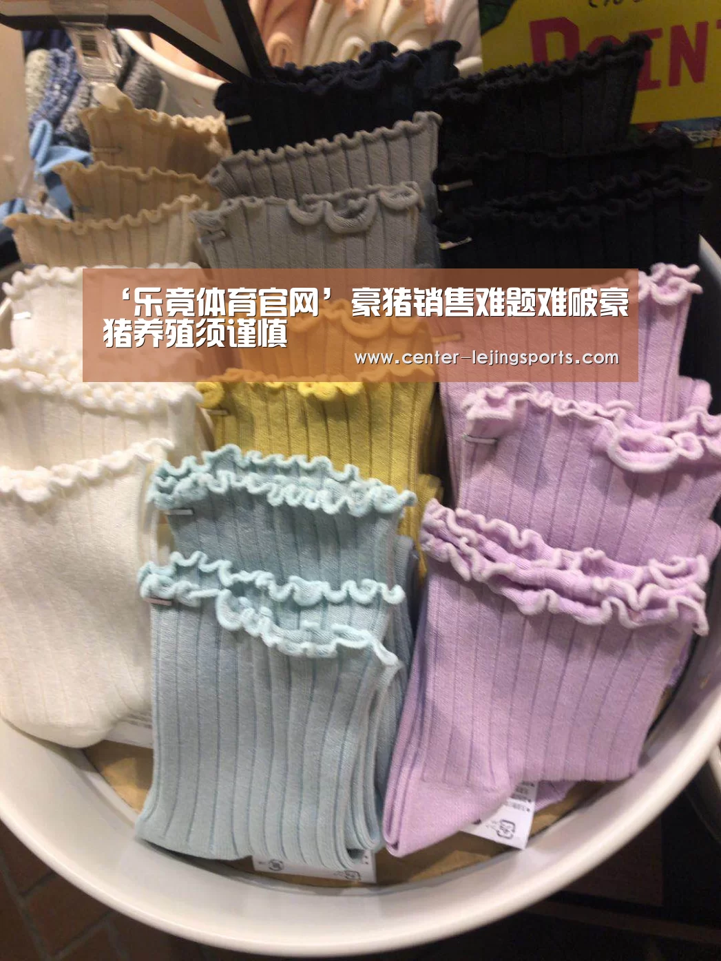 ‘乐竟体育官网’豪猪销售难题难破豪猪养殖须谨慎(图2) 乐竟体育官方