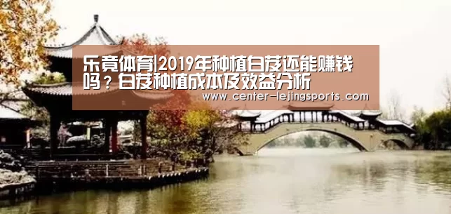 乐竟体育