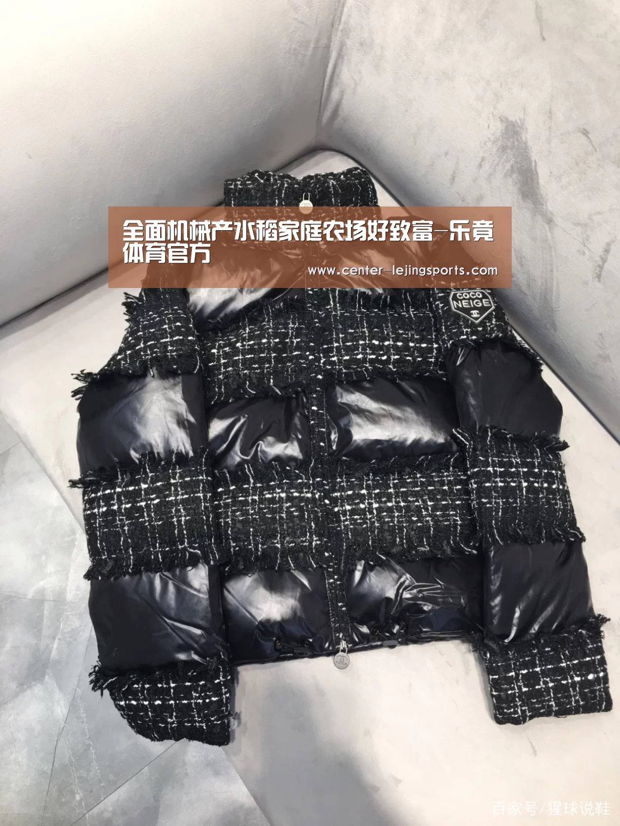乐竟体育