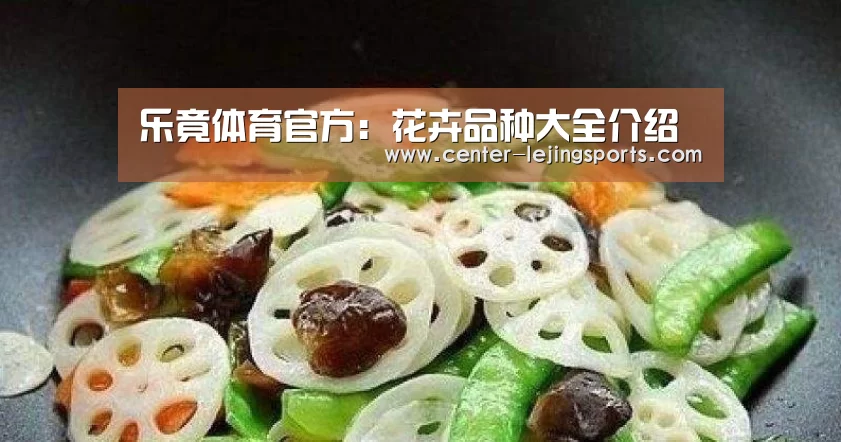 乐竟体育