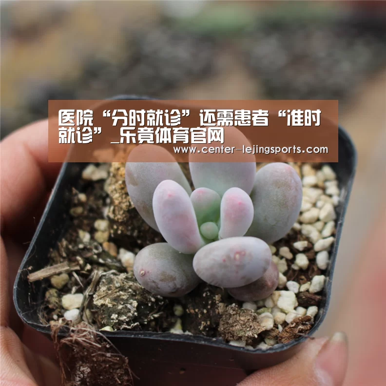 乐竟体育官网